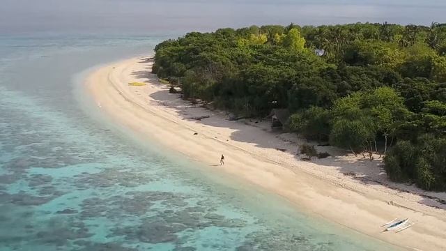 Dive Safari , Philippines смотреть онлайн