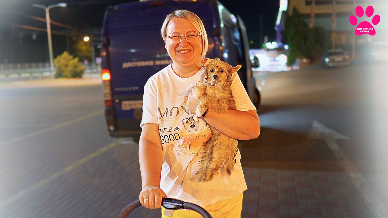 Яна купила себе собаку и светится от счастья! Первая встреча! Китайская-хохлатая - это её любовь! смотреть онлайн