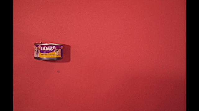 Todd and Erin - Don't Walk Away [Official Video] смотреть онлайн