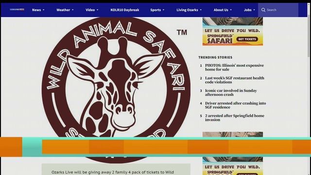 Wild Animal Safari Contest смотреть онлайн