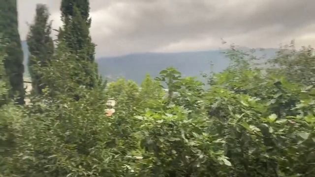 вид с кухни смотреть онлайн