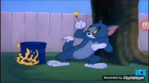tom & jerry 💥explosions compilation💥