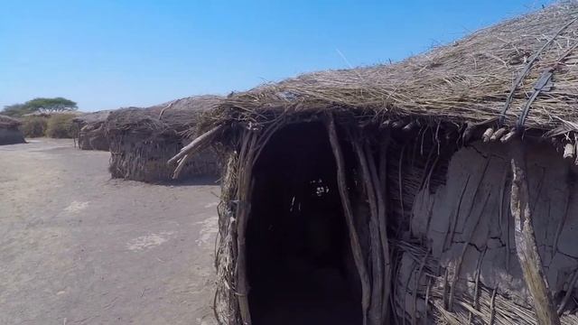 Safari Tanzania 2021 - Tarangire, Lake Manyara, Ngorongoro, Maasai, Serengeti смотреть онлайн
