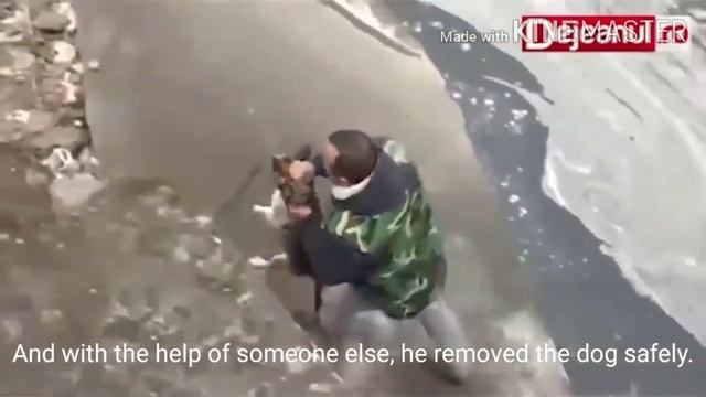 INCREDIBLE RESCUE! Drowning puppy saved by brave person. смотреть онлайн