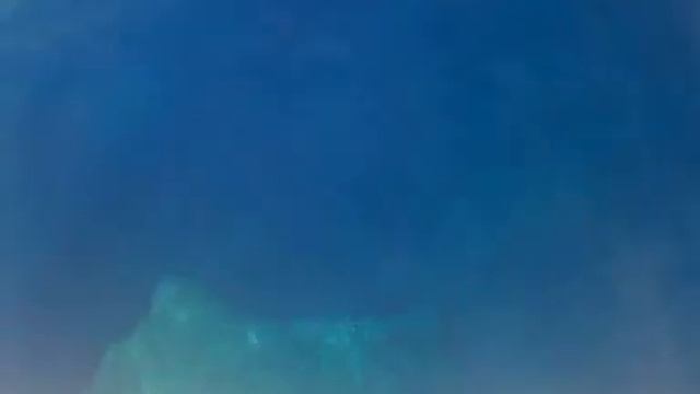 Egypt. Safari. Red sea. смотреть онлайн