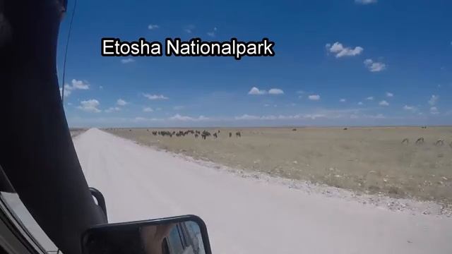 Waterberg und Etosha Nationalpark und Okutala Etosha Lodge смотреть онлайн