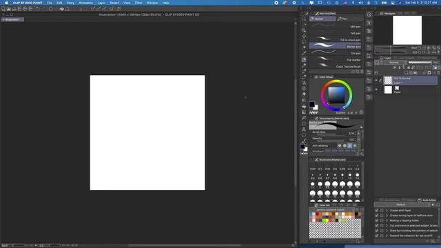 Clip Studio Paint | How To Start A New Project & Create Vector Layers смотреть онлайн