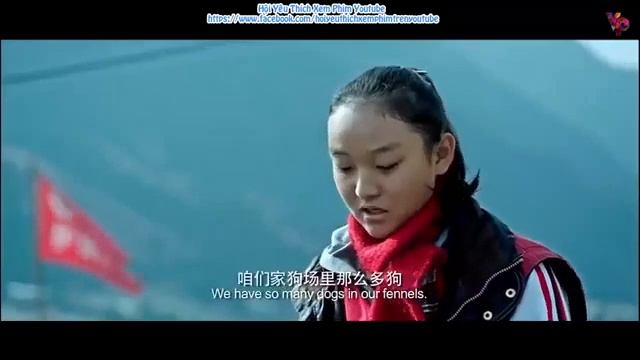 Brave Dog Best Hollywood Movie Of All Time 2021 Full Movie смотреть онлайн