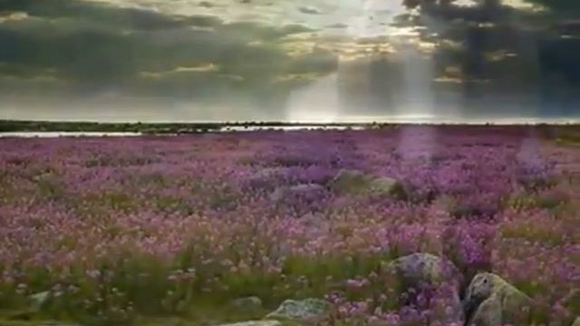 Beautiful Happy Song by Enigma смотреть онлайн