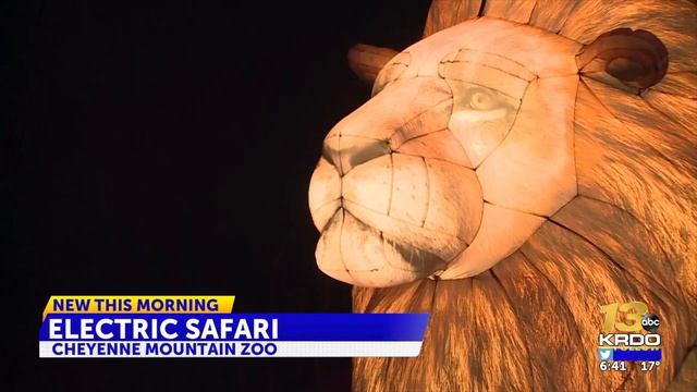Electric Safari voted 3rd best zoo lights in country смотреть онлайн