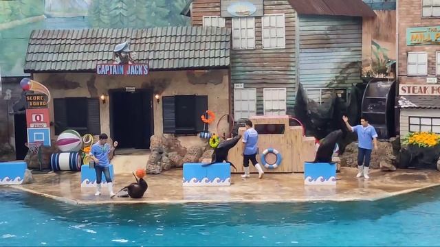 Bangkok Safari World (ซาฟารีเวิลด์) | Safari Park | Marine Park | Thailand 🇹🇭| 2023 смотреть онлайн