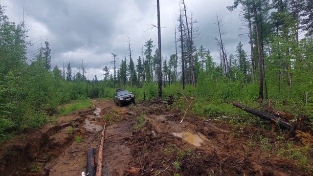 Nortec ET-500, Comforser CF3000