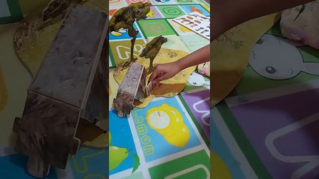 African wildlife 3D puzzle | National geographic for kids | Jungle Safari смотреть онлайн