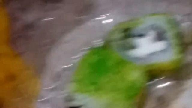 Много суш ааааааааааааааааааа смотреть онлайн