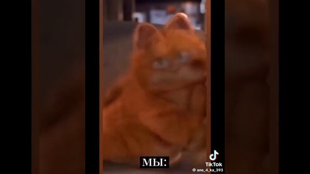 мы ладим,честное слово 😂😂😂 смотреть онлайн