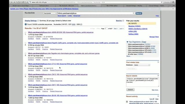 Safari Wix HTML Editor2 смотреть онлайн