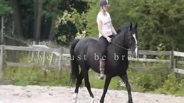 we must be brave смотреть онлайн