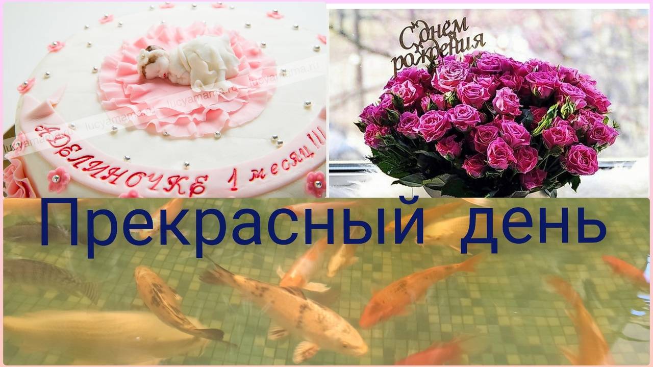 Прекрасный день/А мы пойдём налево/Аквариум. смотреть онлайн