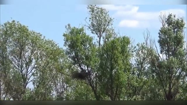 Маршрут № 24 