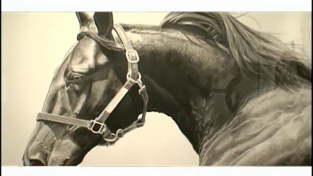 David Caruso at Opera Gallery Save the Horses - ArtStreetMiami смотреть онлайн