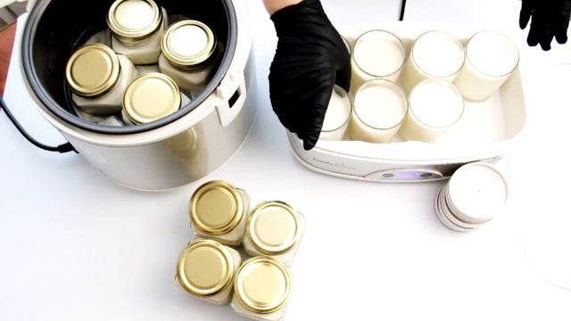 Готовлю домашний йогурт, ряженку и сметану на заквасках БакЗдрав.