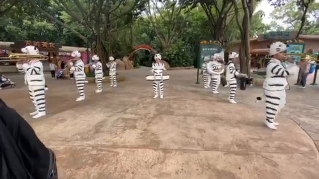 mini video.... Chimelong Safari park... Morning Show....😊 Treasure.. смотреть онлайн
