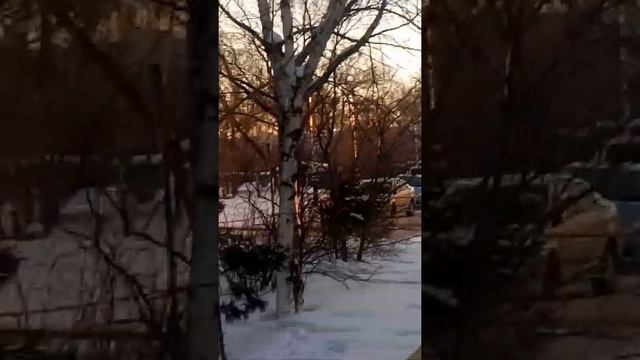 Белая береза под моим окном, Хабаровск смотреть онлайн