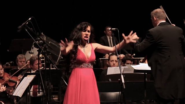Aria da Rainha da Noite "Flauta Magica" - Mozart смотреть онлайн