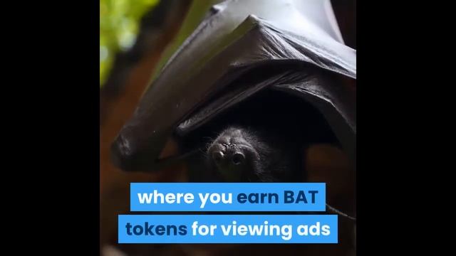 Brave Browser Update 2019 | Brave Browser is a safer and faster Chrome смотреть онлайн