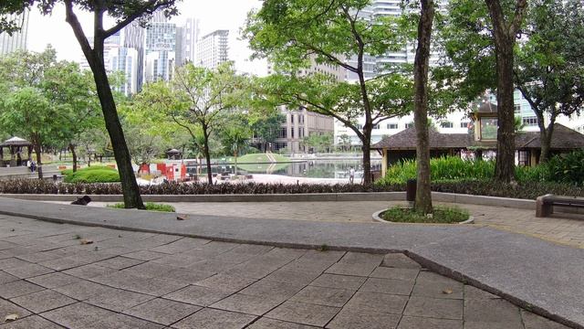 Akaso Brave 7 4K30 Sitting Still Test смотреть онлайн