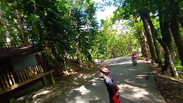 Cebu Safari Adventure Park смотреть онлайн
