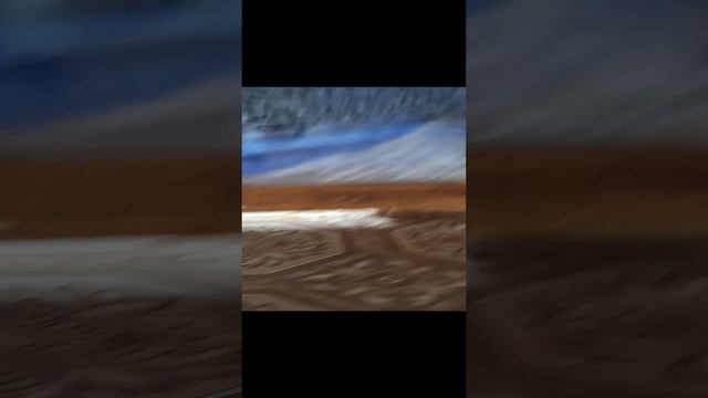 собака отрахивает лишниводую смотреть онлайн