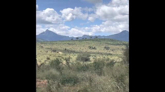 Planting a VILLASEZI Tree - Taita Hills Sanctuary. смотреть онлайн