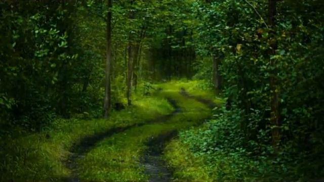 Зелёный- цвет жизни смотреть онлайн