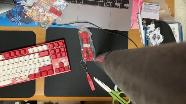 varmiloさんの鯉のキーボードを買いました。 смотреть онлайн