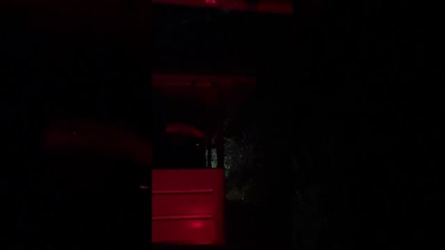Taman safari bogor safari night journey смотреть онлайн