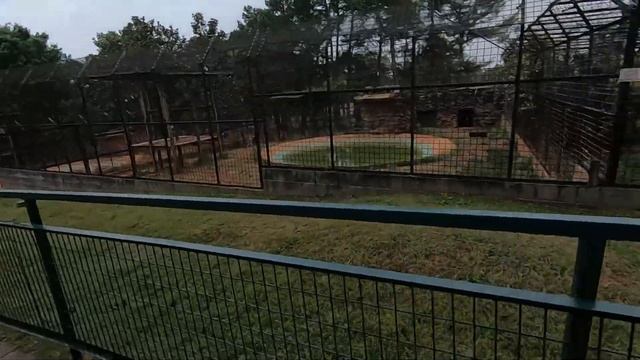 Wild Animal Safari Walkabout in Pine Mountain, GA Part 1 смотреть онлайн