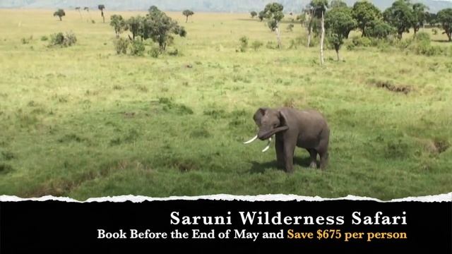 Save on your Safari - Saruni Wilderness Safari смотреть онлайн