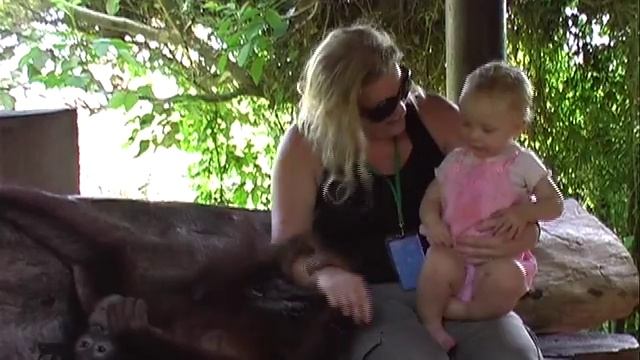 bali safari marine park смотреть онлайн