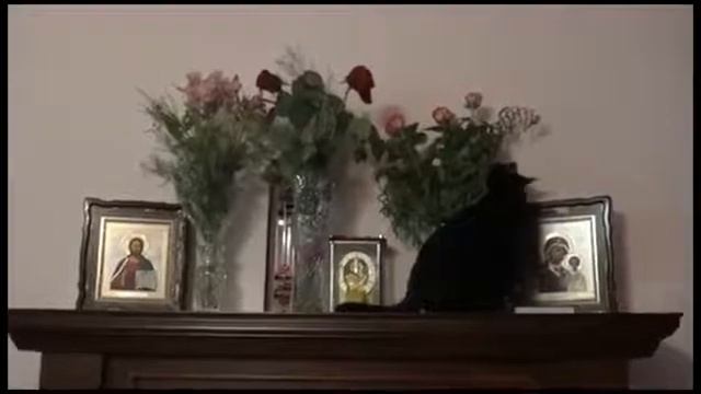 КОТ.ЖИЛ ДА БЫЛ ЧЕРНЫЙ КОТ