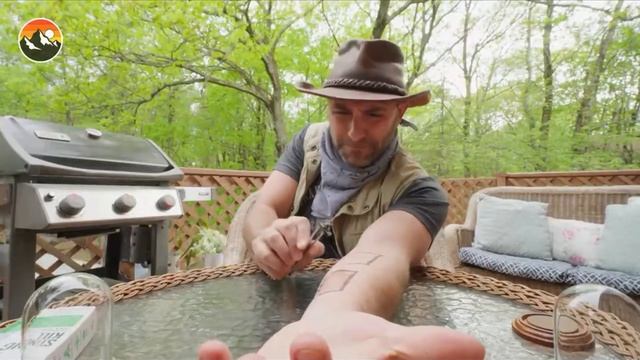 Brave wilderness смотреть онлайн