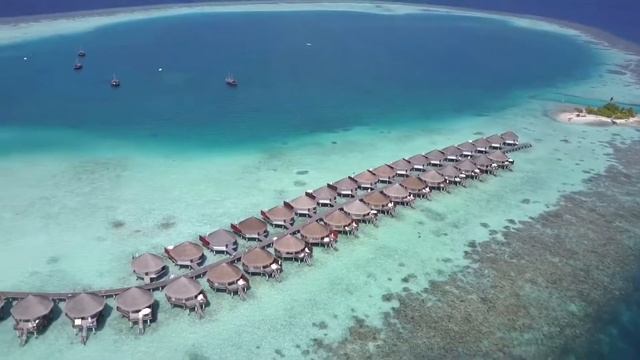 Stoppy Fitbody live in Maldives 2017 смотреть онлайн