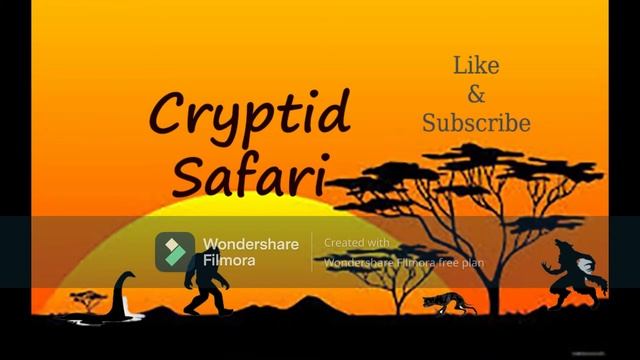 Safari 7 Author John Vandeventer смотреть онлайн