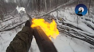 ПО ЗАЯЧЬЕМУ СЛЕДУ * ГОРЯЧАЯ ПОГОНЯ ЗА ЗАЙЦАМИ