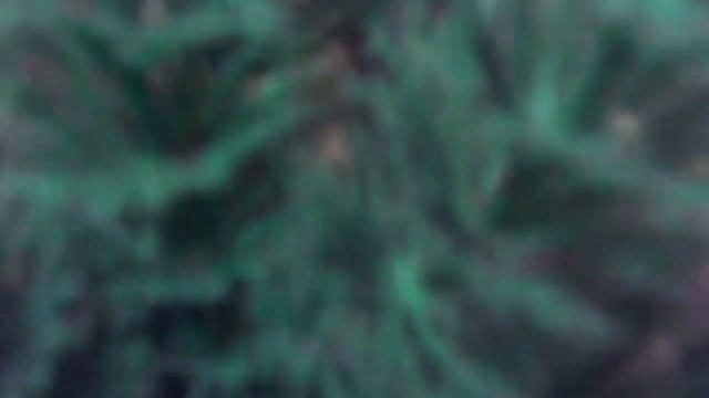 тест экшен камеры под водой (в аквариуме) смотреть онлайн