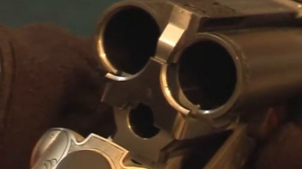 Немецкое оружие Krieghoff