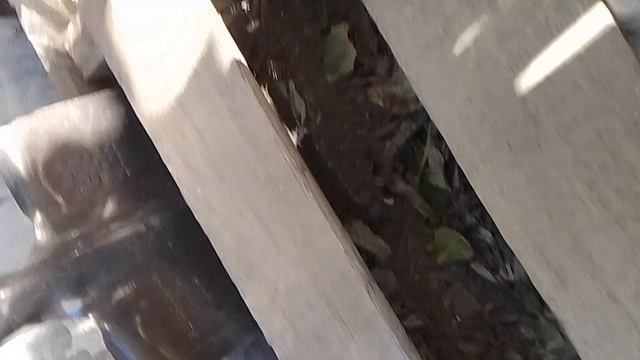 VID_20240928_131421.mp4 смотреть онлайн