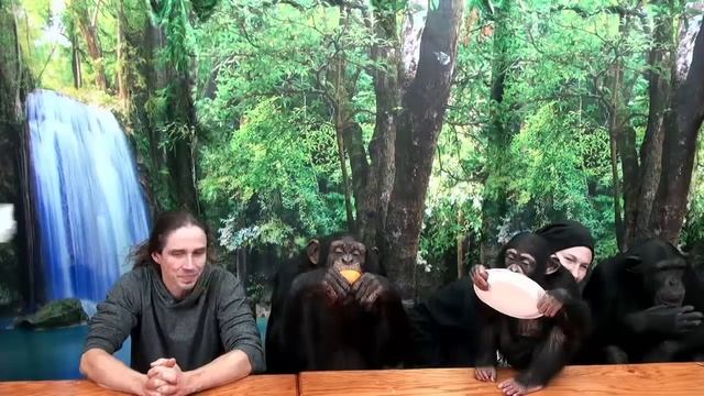 The one and ONLY Chimp Dinner Live | Nov 7th смотреть онлайн