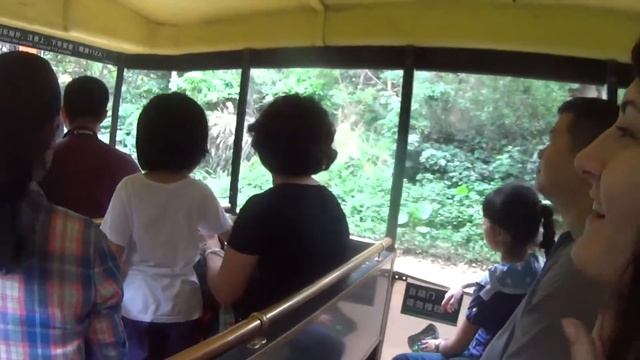 Safari Park смотреть онлайн