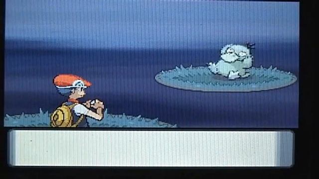 Shiny Psyduck can bite me!!!!!! смотреть онлайн